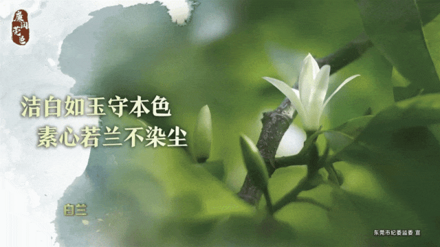 女性篮球爱好者适合的训练辅导方式_2